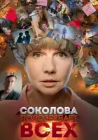  Соколова подозревает всех смотреть онлайн сериал 1-6 сезон 
